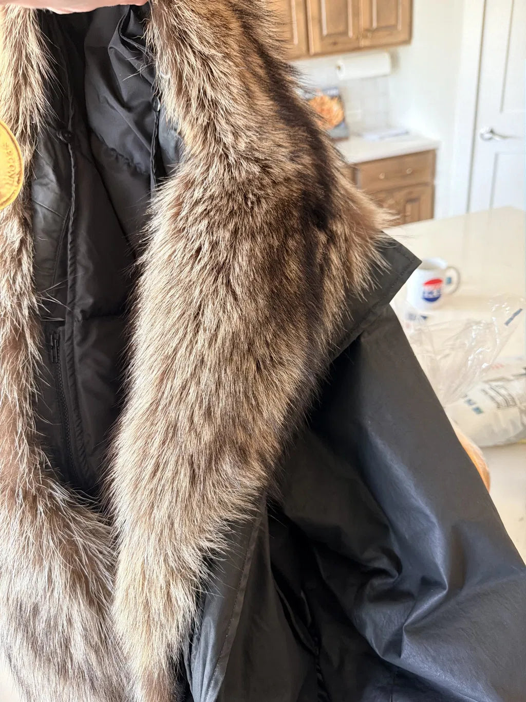 Down Parka with Coyote and Raccoon Fur Collar “The Long Night”
