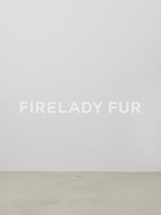 Fireladyfur Women's Warm Winter Down Jacket with a Fluffy Fox Fur Collar“Travel Notes”