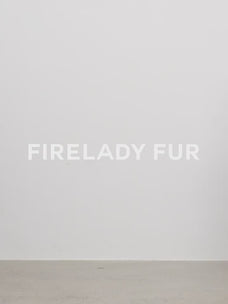 Fireladyfur Women's Waterproof & Warm Down Jacket with a Detachable Silhouette"Winter is coming"