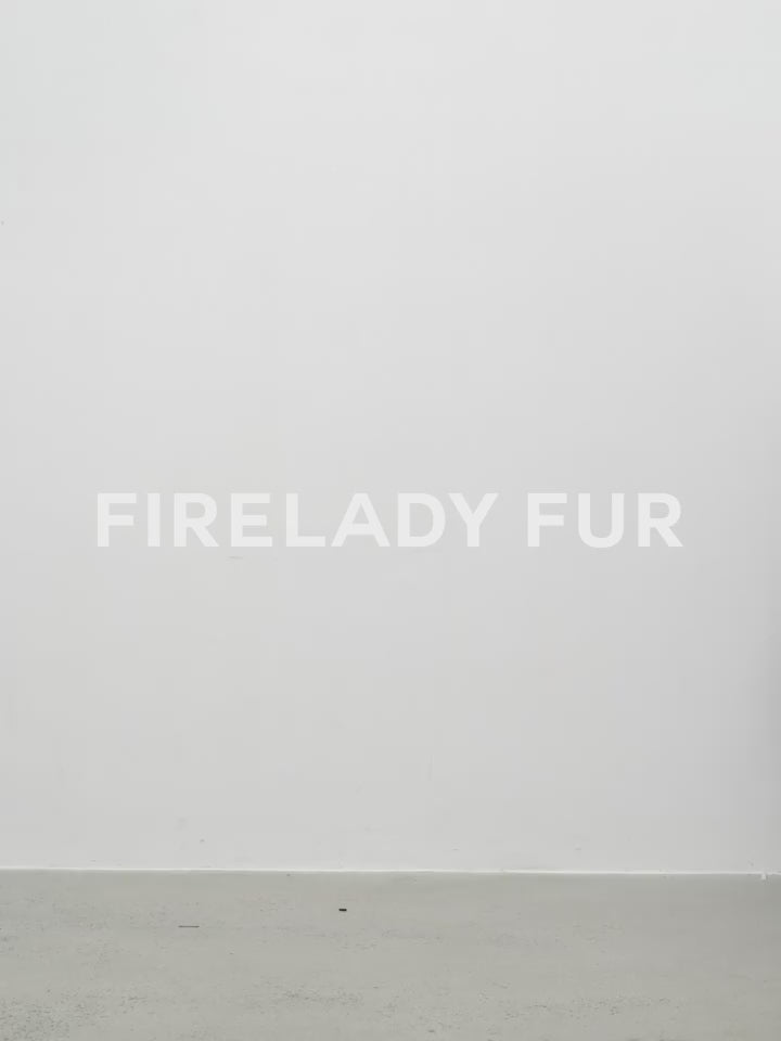 Fireladyfur Women's Shearling Lined Down Parka with Raccoon Fur Collar hood"Coastal Highway II"