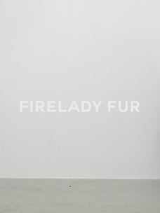 Fireladyfur Women's Shearling Lined Down Parka with Raccoon Fur Collar hood"Coastal Highway II"